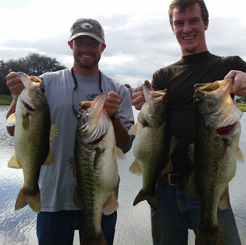 Shiners, the secret to bettering yourself as an artificial angler - Orlando  Bass Guide