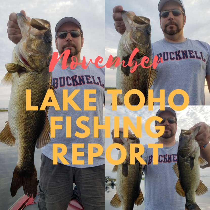 Lake Toho November Fishing Report - Orlando Bass Guide